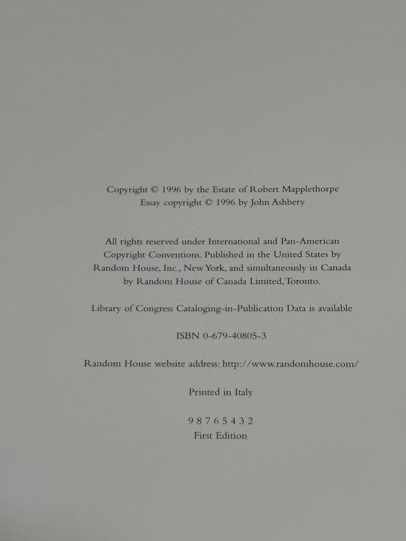 【希少】Pistils Robert Mapplethorpe 写真集