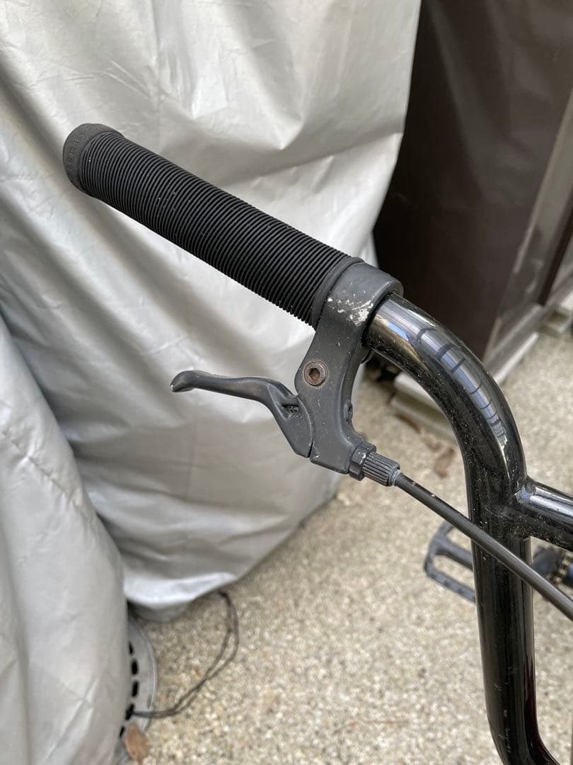 メ⚪︎カリ名誉会長様 配送込み 専用 bmx 20inch fitbike