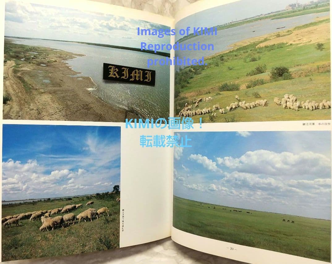 1982 チチハル チャムス 牡丹江 満州の旅 単行本 1982 北小路健,渡部