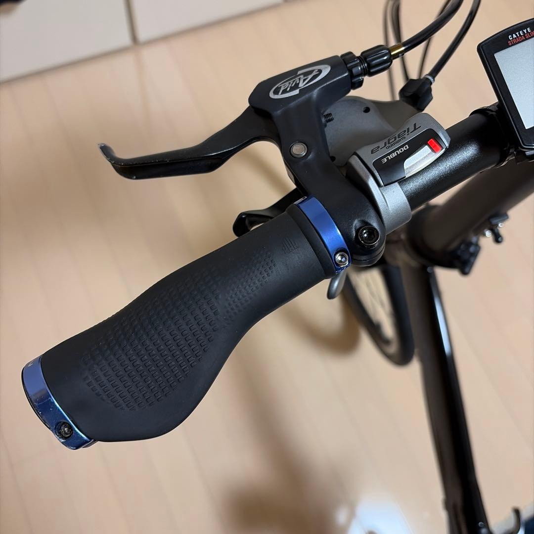 2015 DAHON(ダホン)Visc P20 オブシディアンブラック