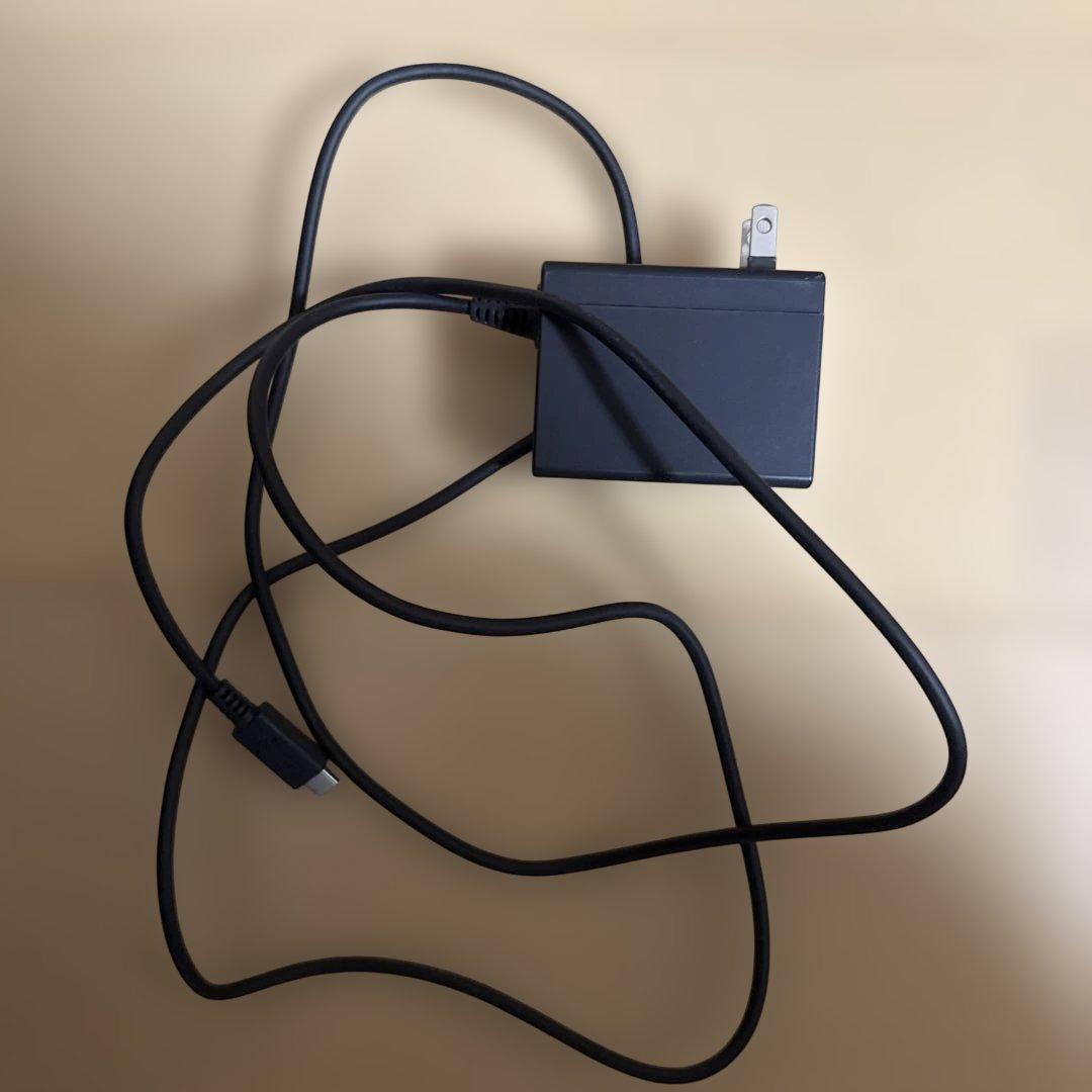 Nintendo Switch 本体 充電器 キャリーケース付き