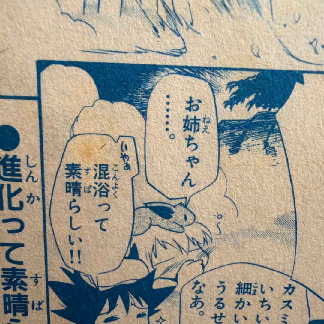 ポケットモンスター コミックスペシャル 2冊 電撃ピカチュウ掲載