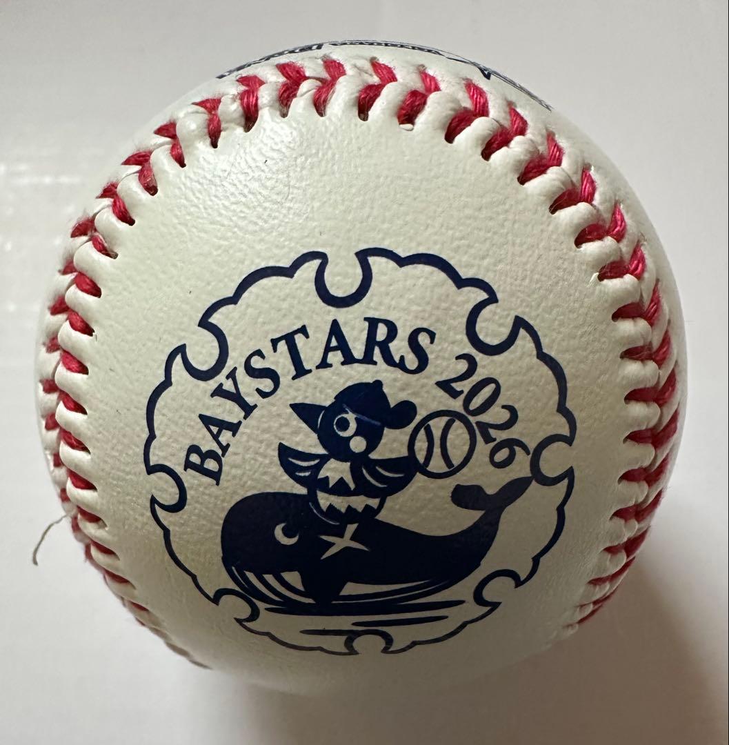 横浜DeNAベイスターズ　直筆サインボール　平良拳太郎選手　宮城滝太選手