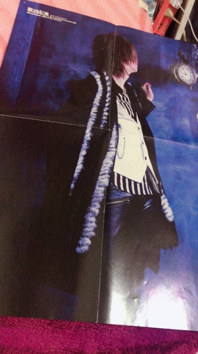 luzさんグッズ、ポスター