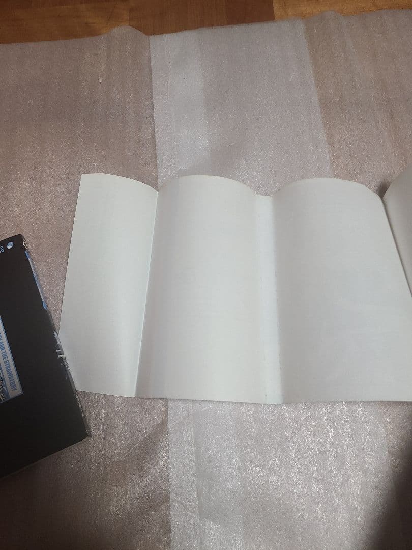 BLEACH ブリーチ 1巻 初版