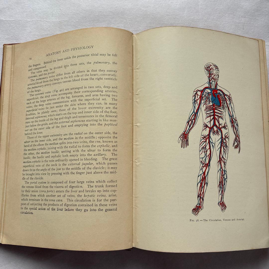 【洋書・軍事】米国陸軍、海軍衛生部隊、州兵、海軍民兵のための完全ハンドブック