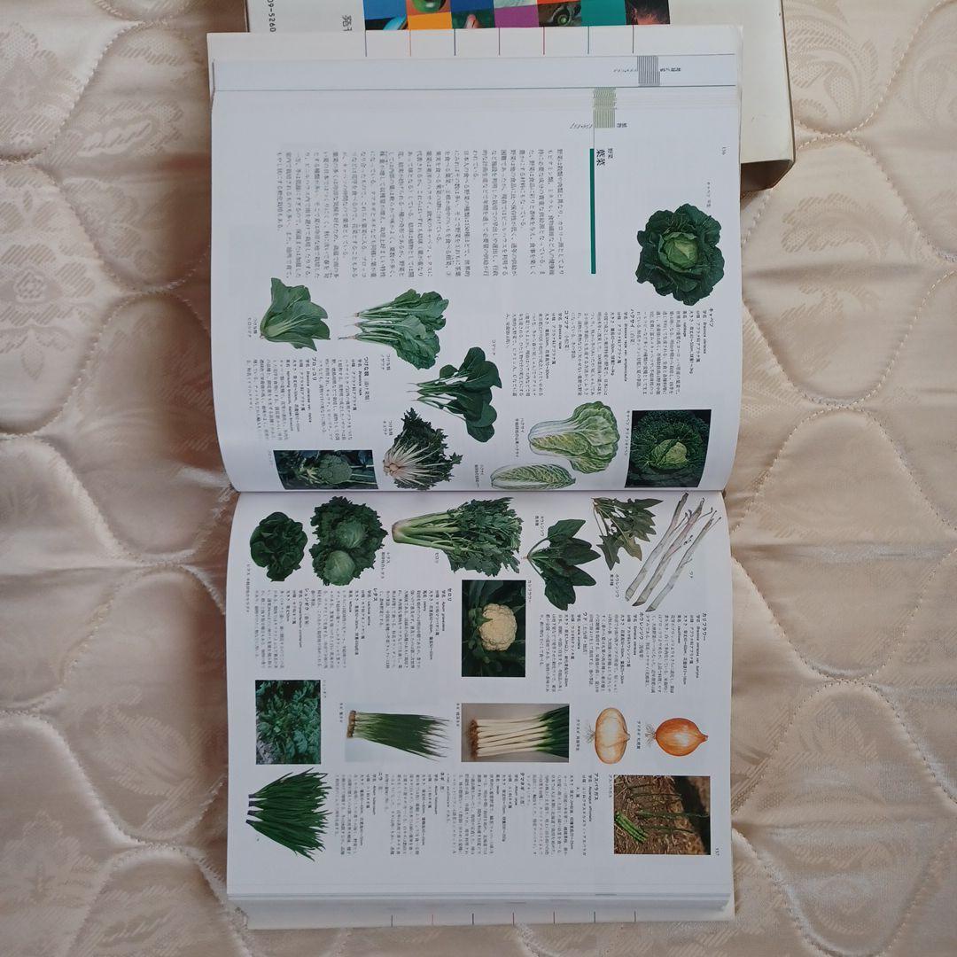 自然大博物館 初回版 植物図鑑としても