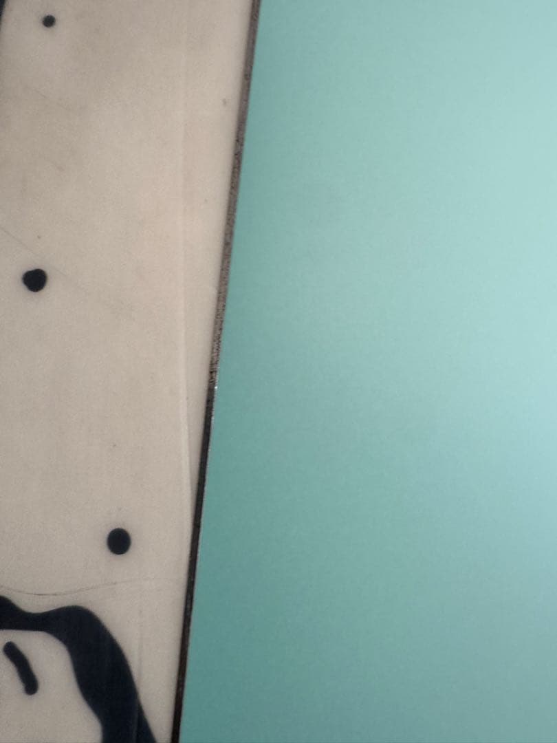 CAPiTA The Outsiders 150 / マラビータS