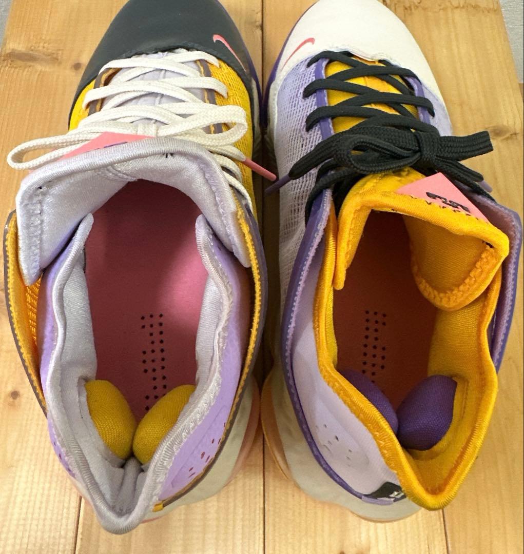 【美品】NIKE Lebron 19 Low LA Yellow/Purple