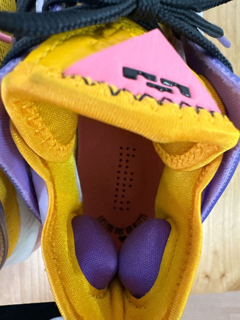 【美品】NIKE Lebron 19 Low LA Yellow/Purple