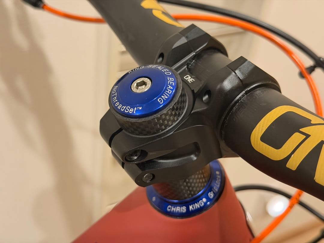 SANTA CRUZ 5010 CC Size M 未使用近い