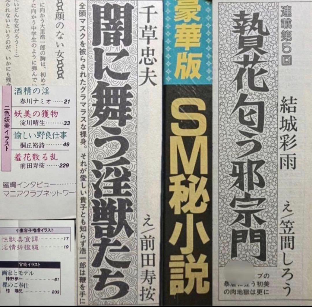 絶版】秘小説94年7月 千草忠夫 結城彩雨 　　　前田寿按 楡畑雄二 椋陽児 他