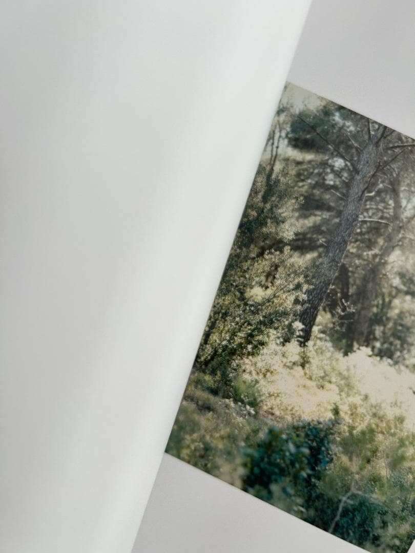 貴重本 鈴木理策 写真集 Atelier of Cézanne 建築 アアルト