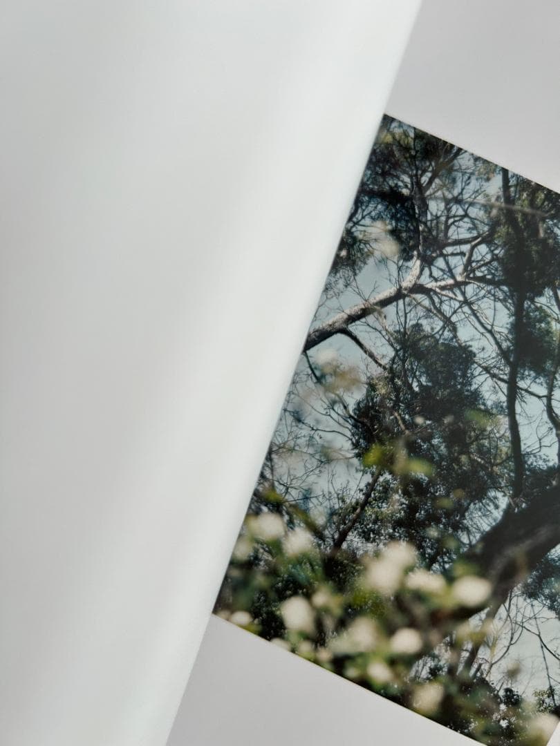 貴重本 鈴木理策 写真集 Atelier of Cézanne 建築 アアルト