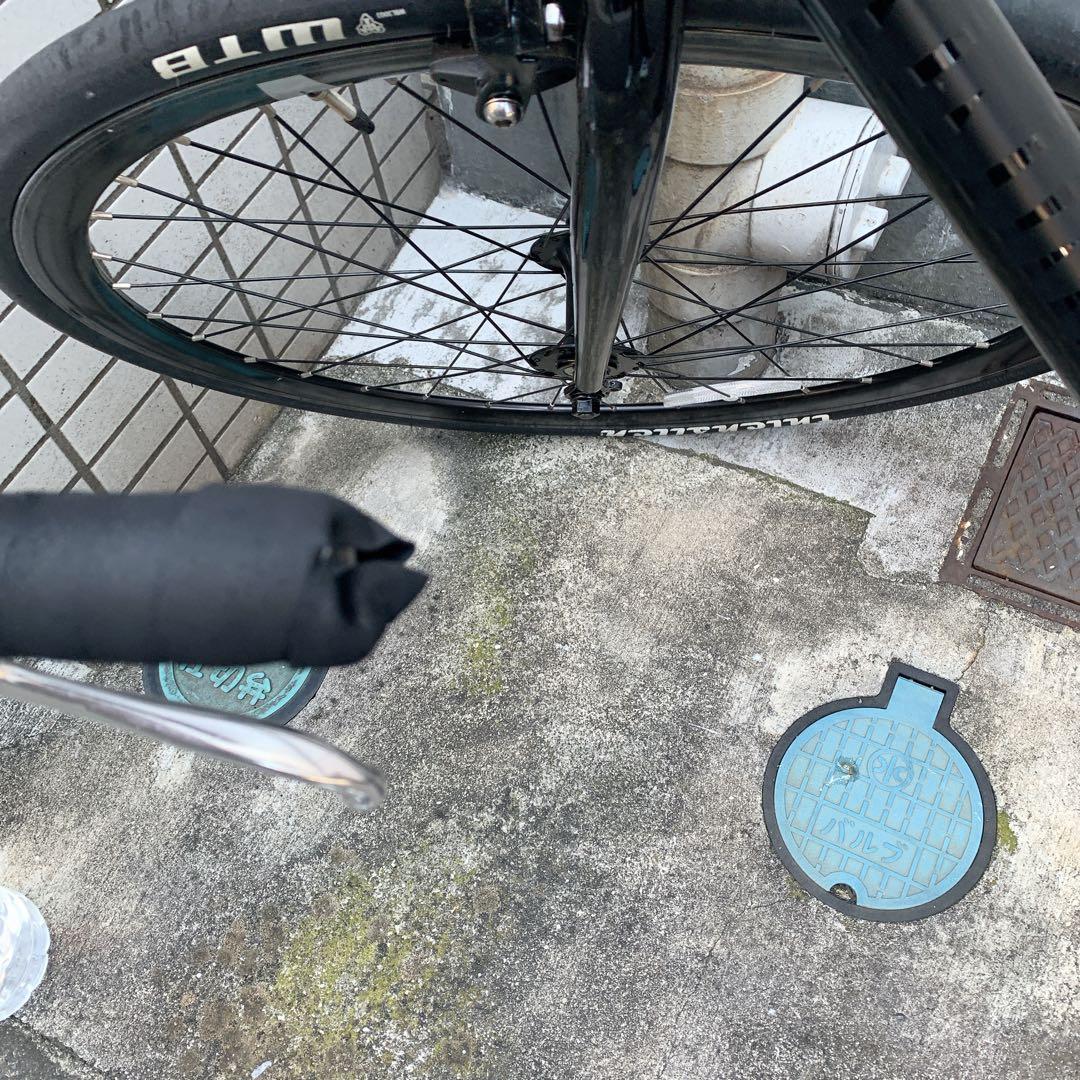 SCHWINN ピストンバイク