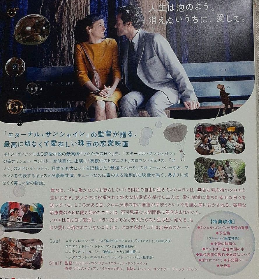 ブルーレイ/ムード・インディゴ～うたかたの日々～ 特別編('13仏)初回特典付