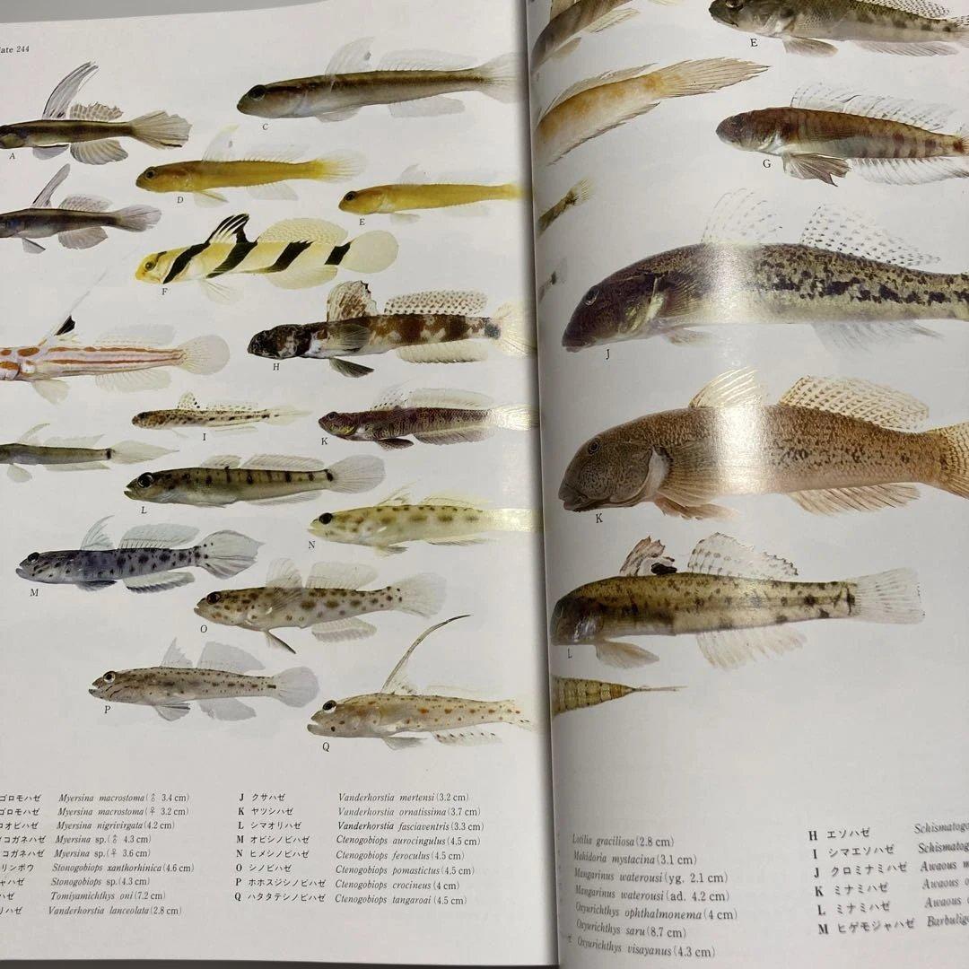 日本産魚類大図鑑 全2巻　東海大学出版会　学習参考書　本