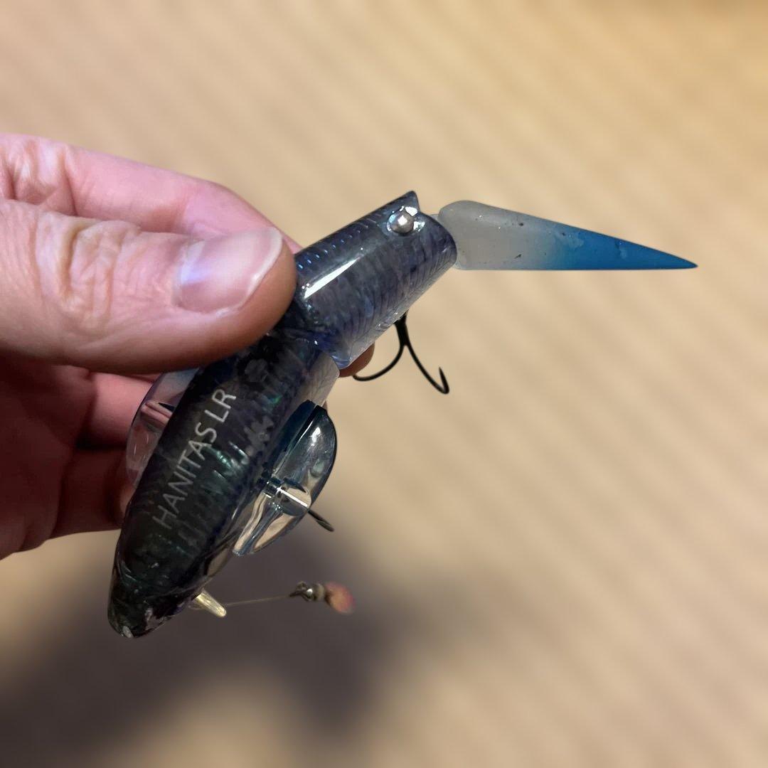 12/16まで　マドタチ　ハニタスLR