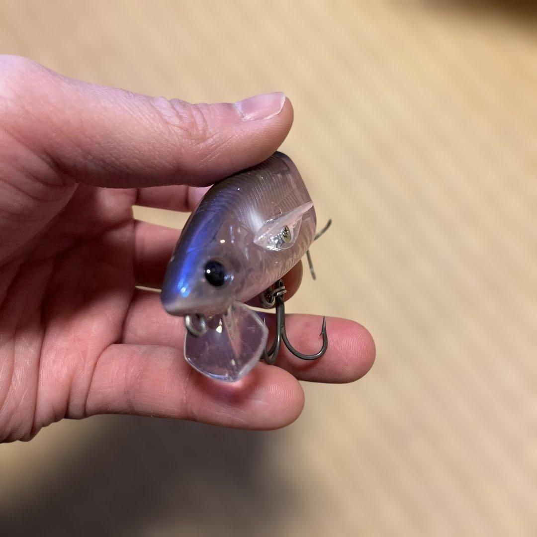 12/16まで　マドタチ　ハニタスLR