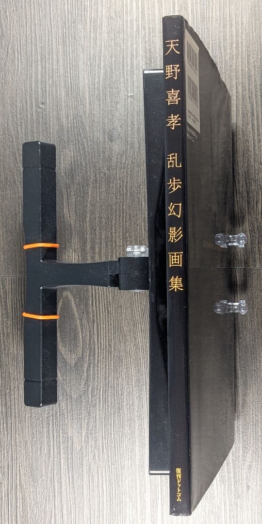 天野喜孝 乱歩幻影画集