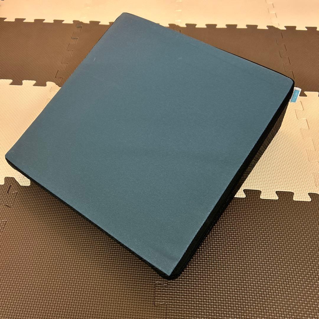 美品SANTEPLUS サンテプラスFlexcushion フレックスクッション