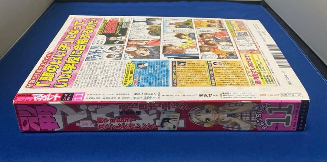 別冊マーガレット 2008年11月号 特集ページ君に届けミニファンブック付き