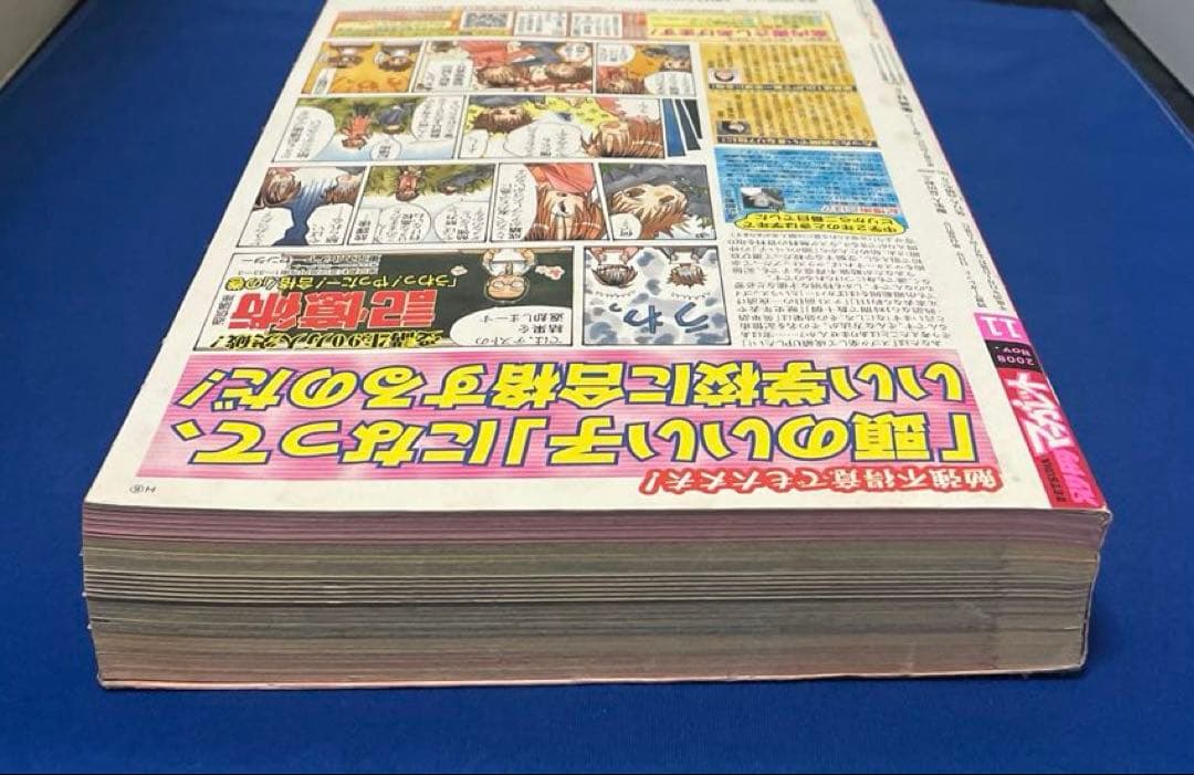 別冊マーガレット 2008年11月号 特集ページ君に届けミニファンブック付き