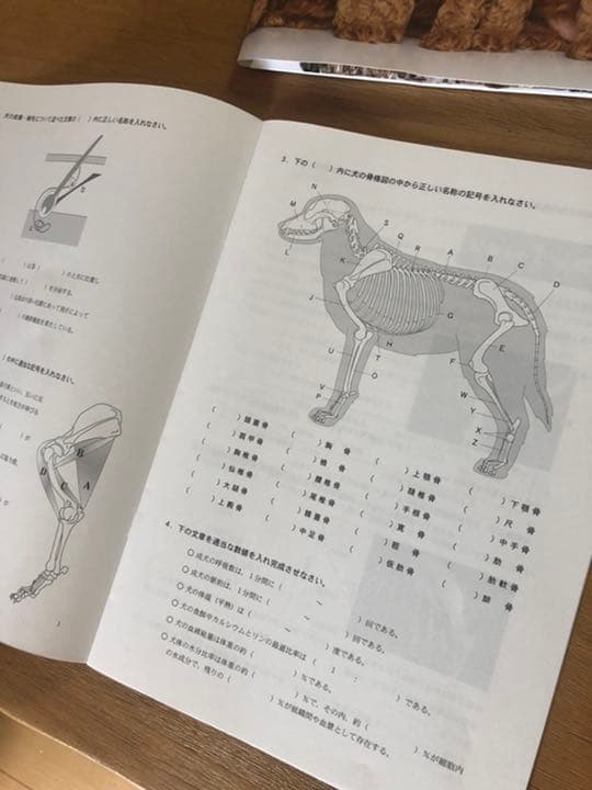 ヒューマンアカデミーのペットホテル開業講座のテキスト一式です。