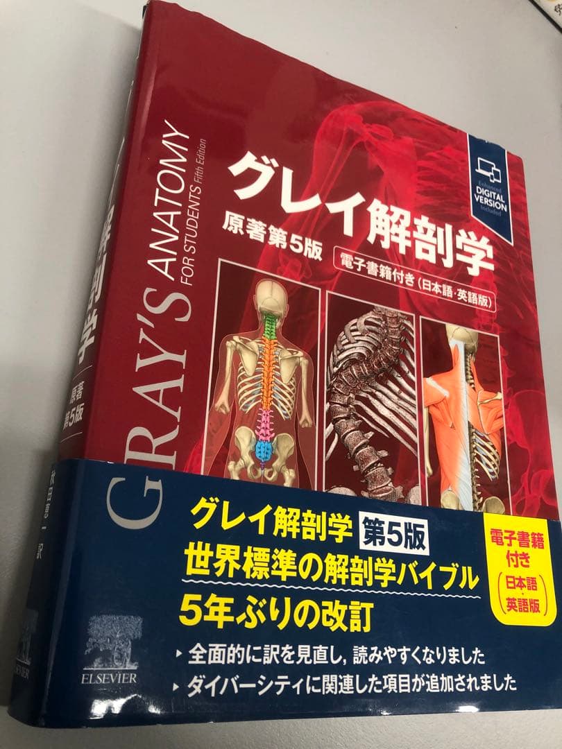 グレイ解剖学　原著第5版