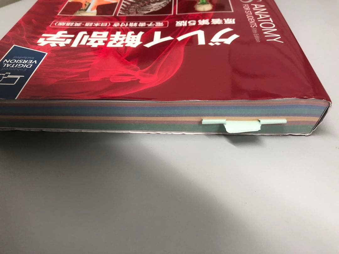 グレイ解剖学　原著第5版