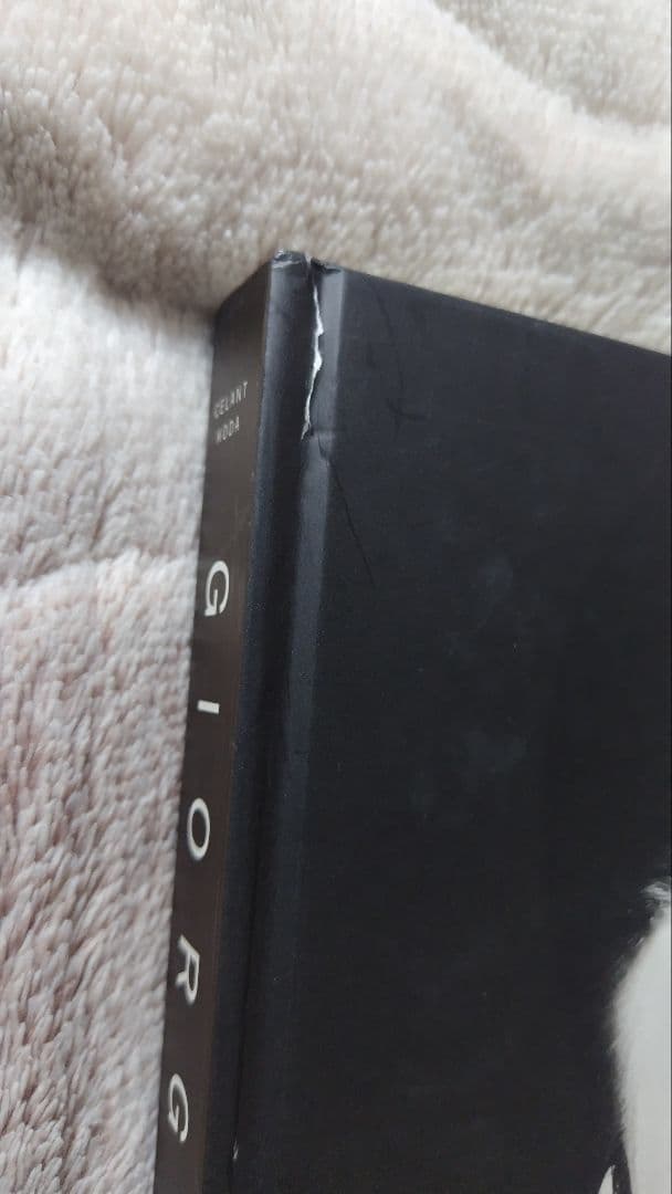 Giorgio Armani展 写真集 【海外版/翻訳冊子付き】