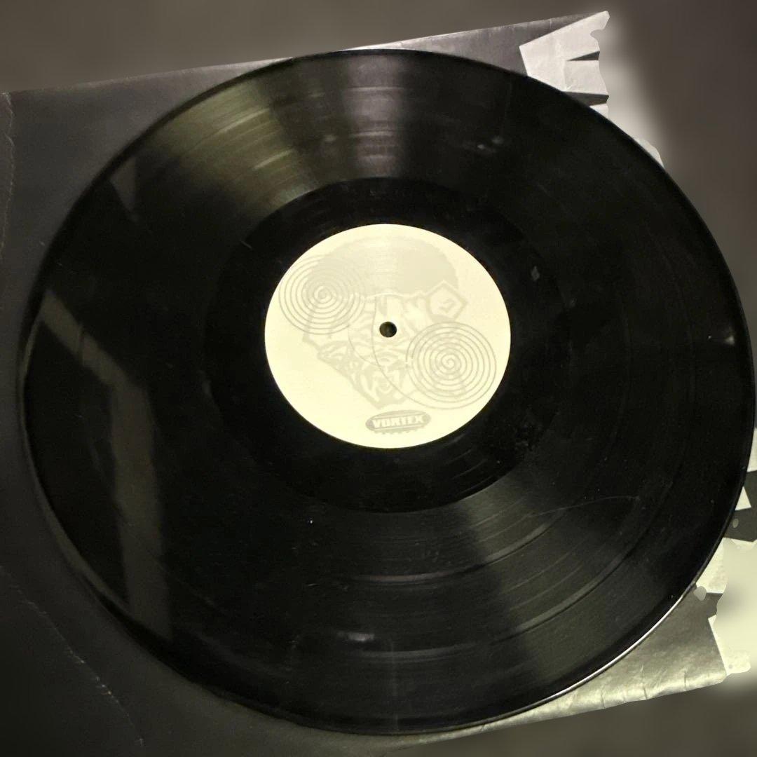 Vortex Twigy,lamp eye 12インチ2枚セット