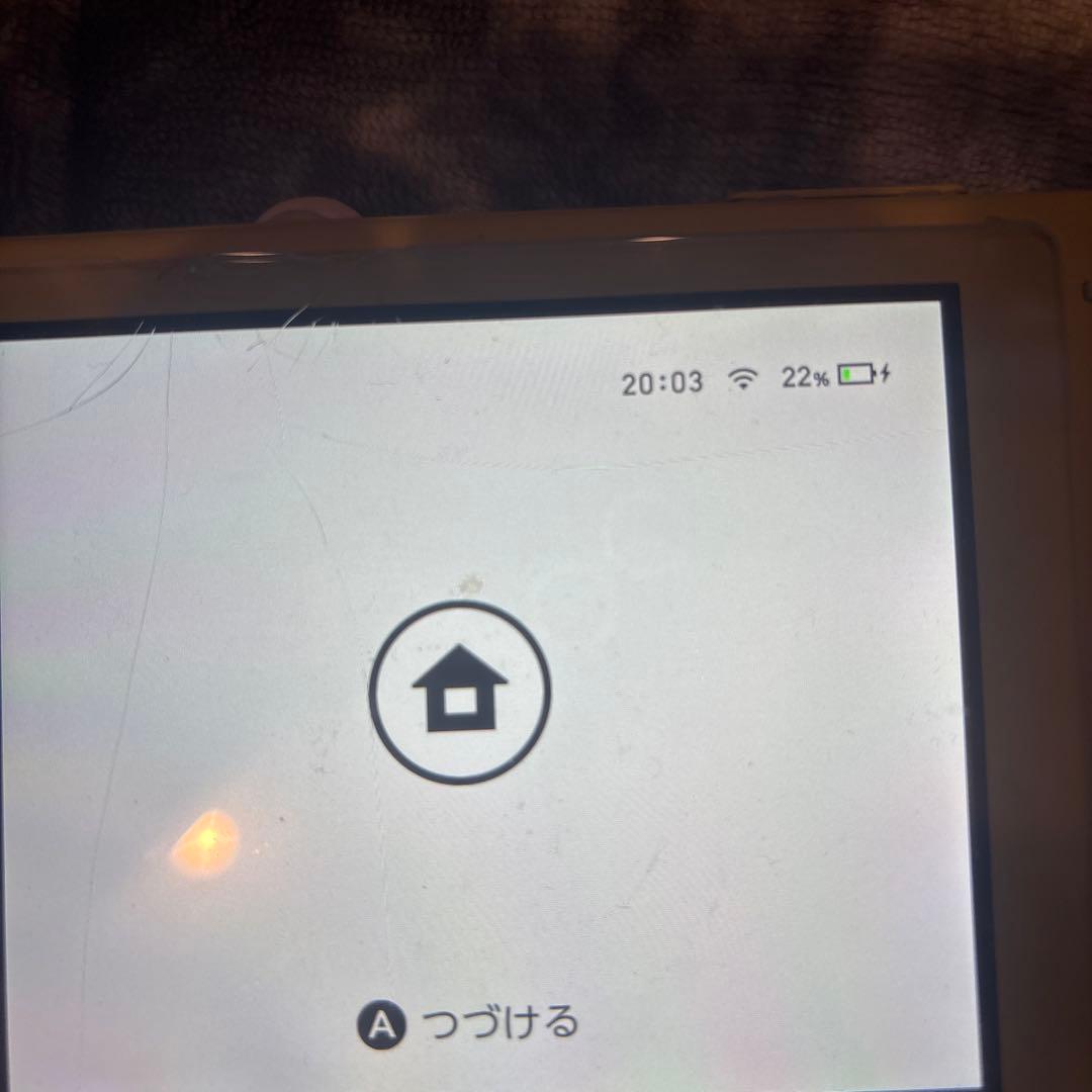 Switchライト　黄色　カセット　スイカゲーム　アソビ大全51 セット