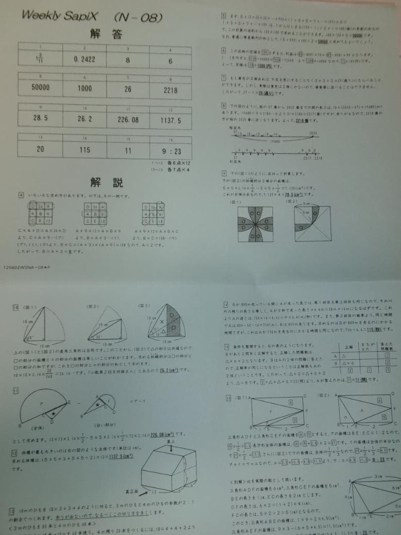 サピックス＊６年＊算数／土曜特訓プリント＊１７回＊灘 専用 （難関）＊２０２５年