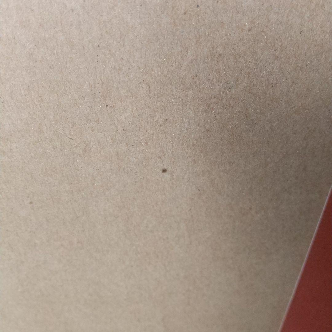 イラストレーテッド名作椅子大全 織田 憲嗣 (著) h4