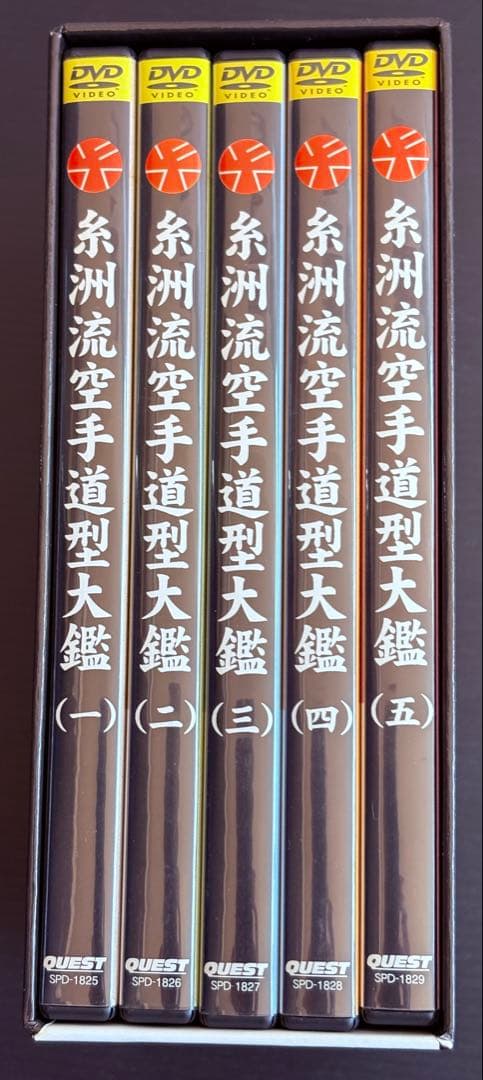 美品 糸洲流空手道 型体系DVD5枚組BOX 坂上節明