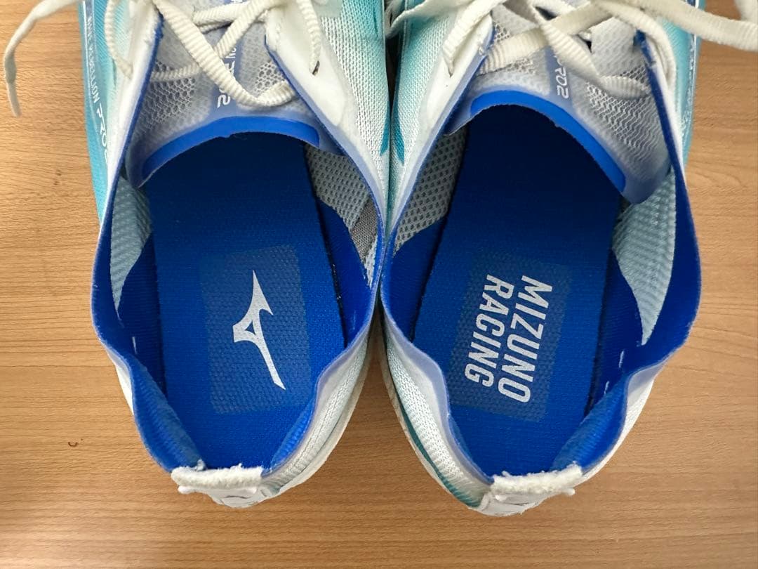 29cm！ミズノ ウエーブリベリオンプロ 2 ランニングシューズ