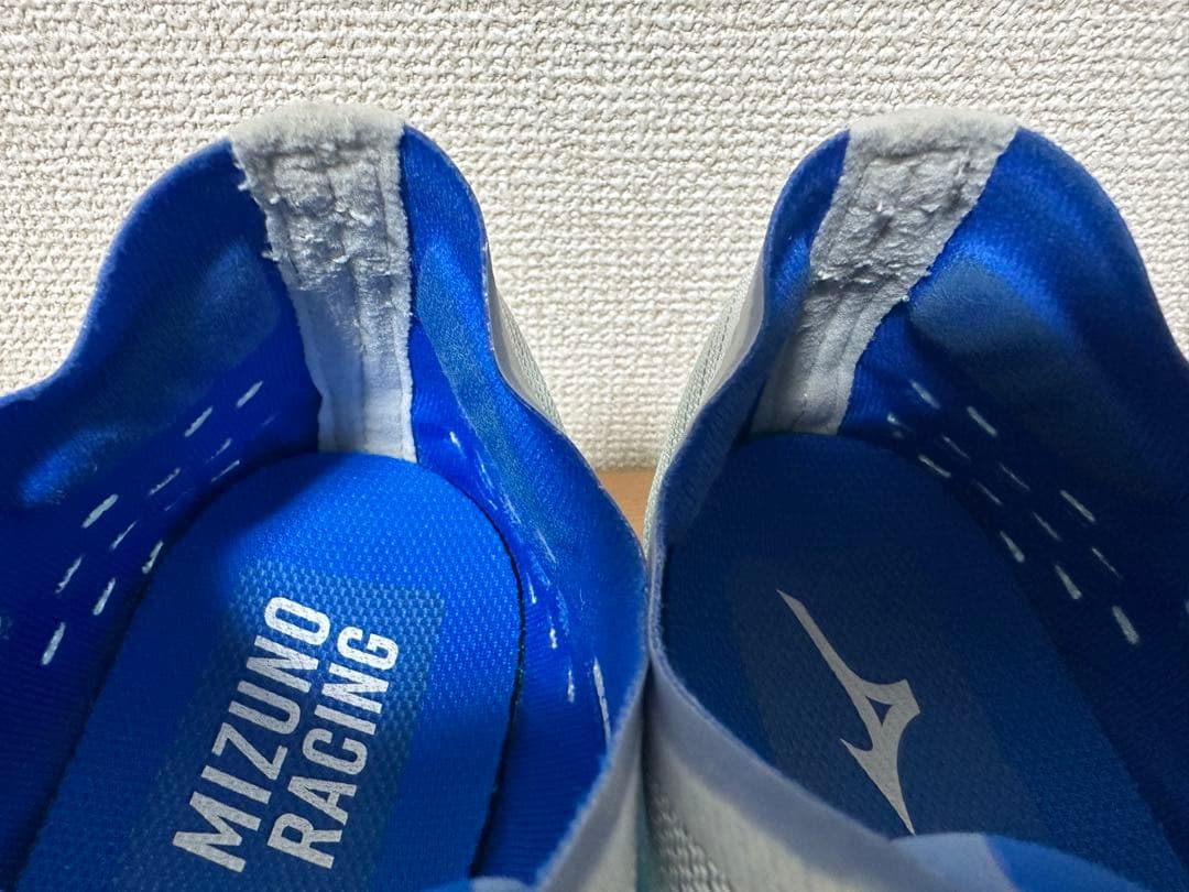 29cm！ミズノ ウエーブリベリオンプロ 2 ランニングシューズ