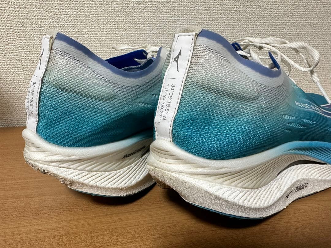 29cm！ミズノ ウエーブリベリオンプロ 2 ランニングシューズ