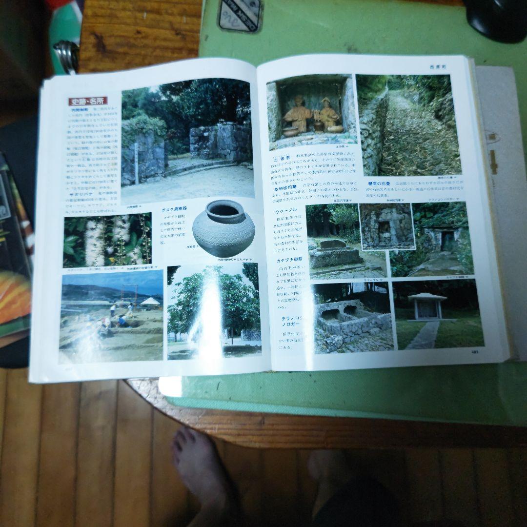 沖縄　ふるさと自然百科　復帰20周年記念企画