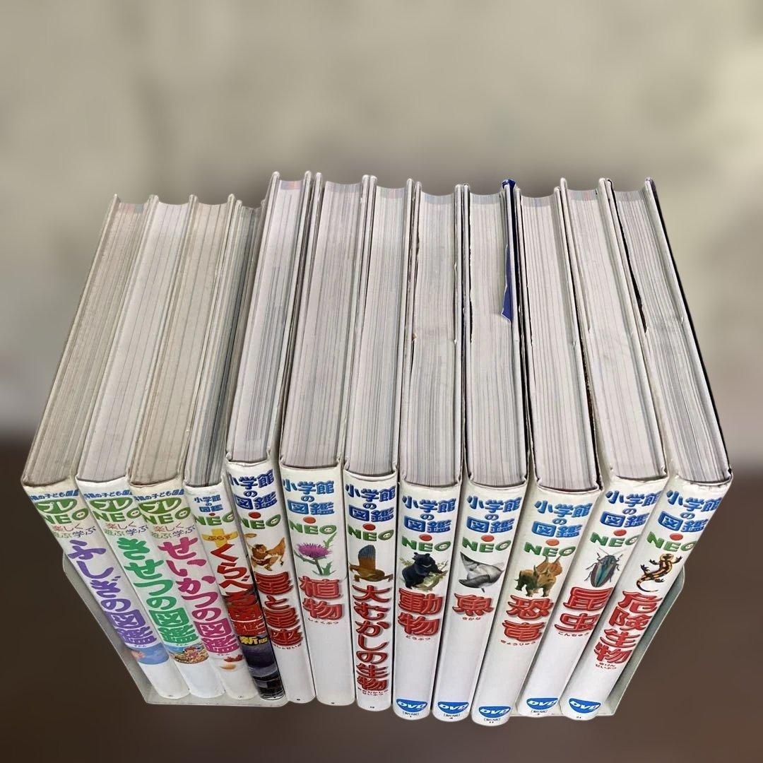 小学館の図鑑neo12冊セット ③