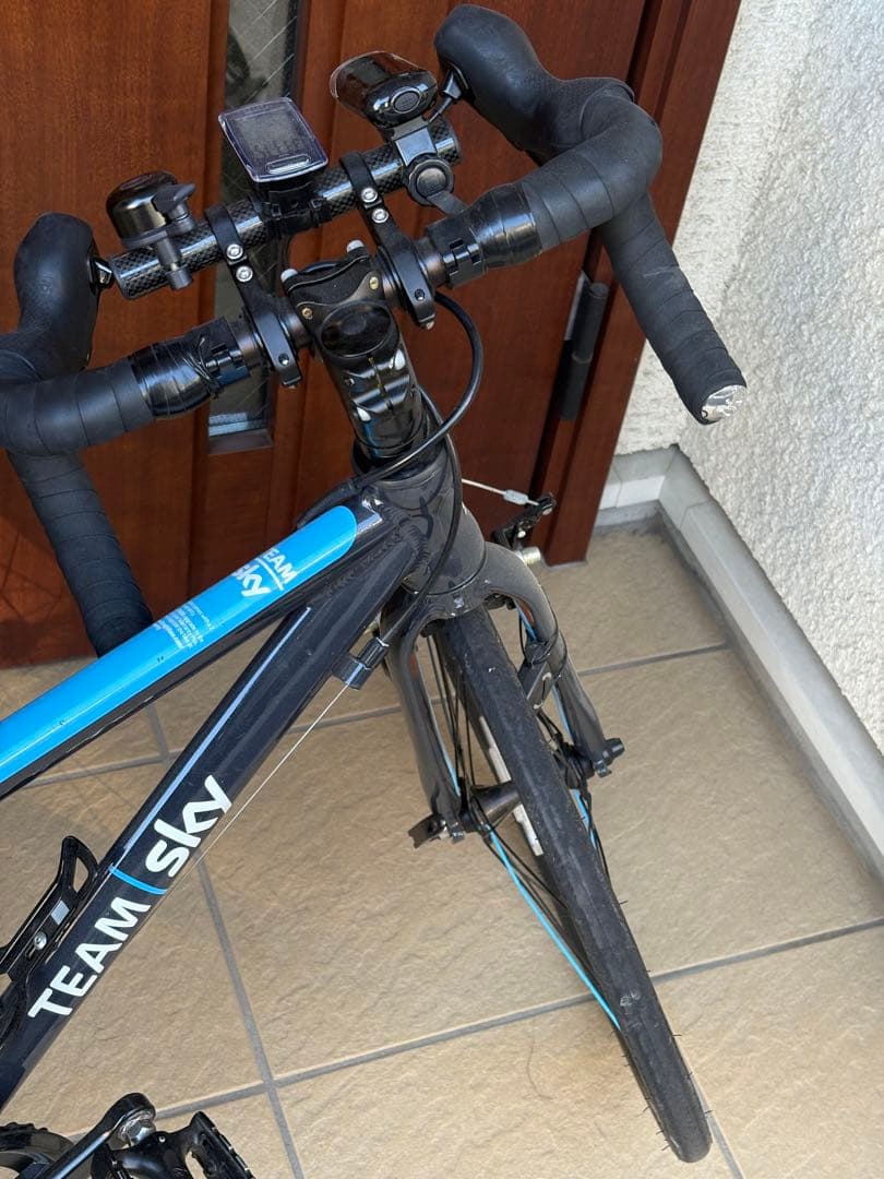 子供用　20インチバイク　Frog Road TEAMSky 改造あり