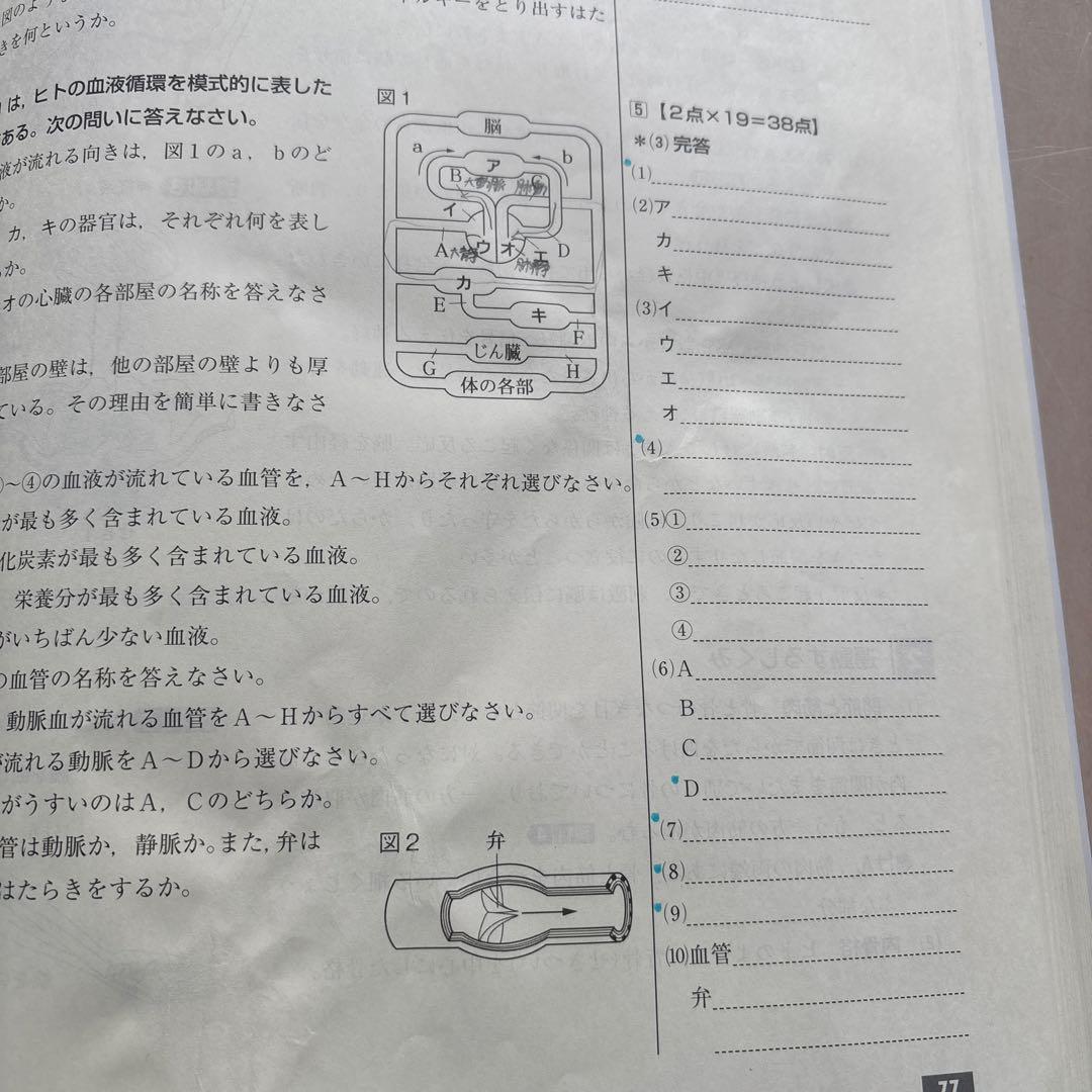 練成会 練成ワーク ホームワーク 定期試験出題パターン集 中学2年生 9冊セット