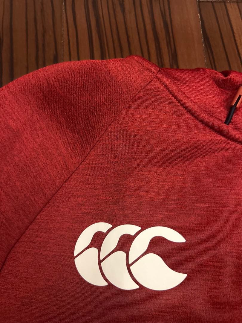 British & Irish Lions 2025 Everest フーディー