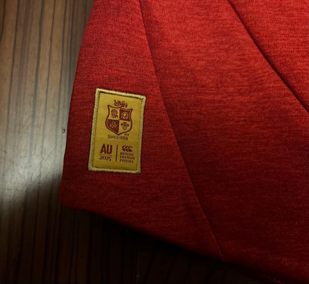 British & Irish Lions 2025 Everest フーディー