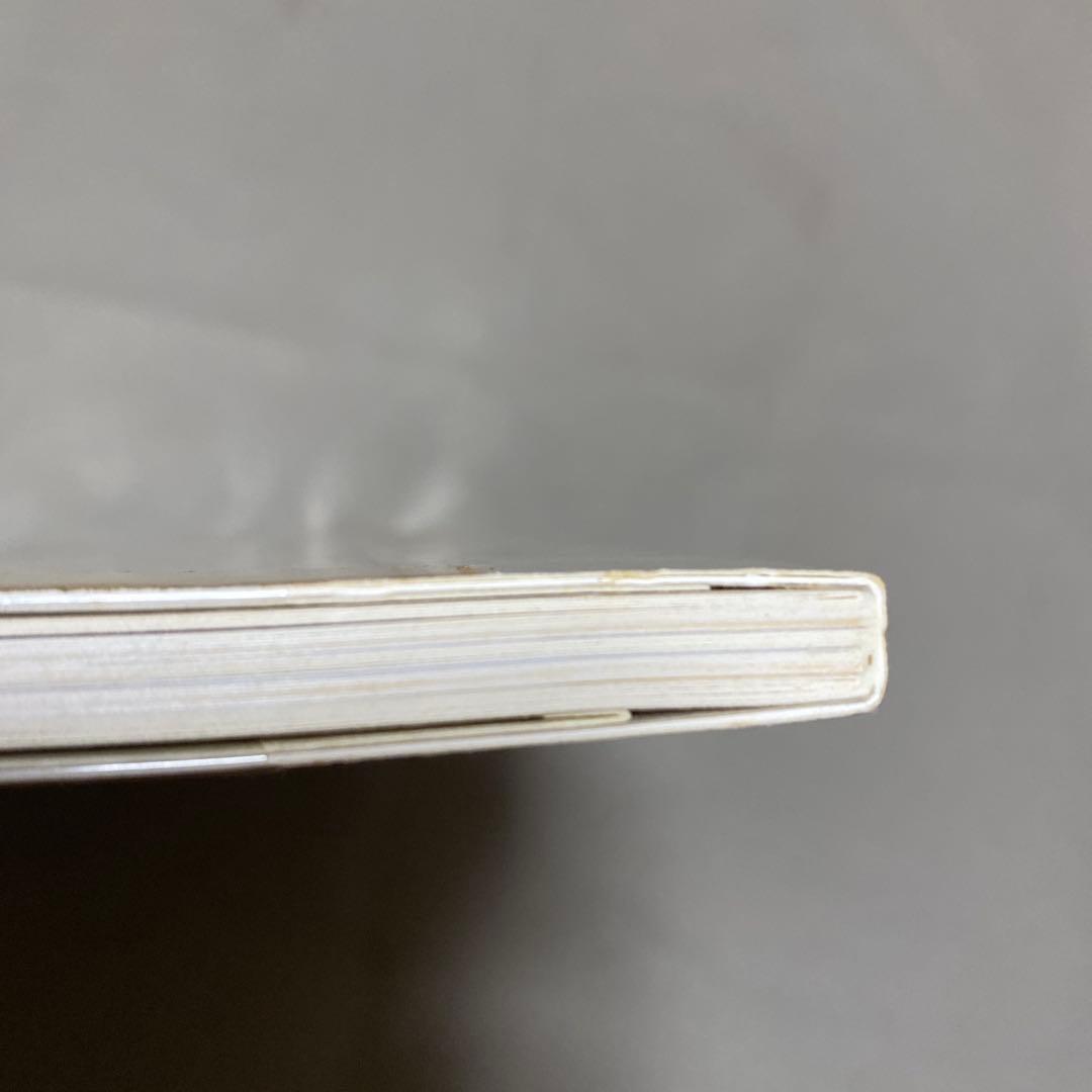 山口晃:Singa-planet