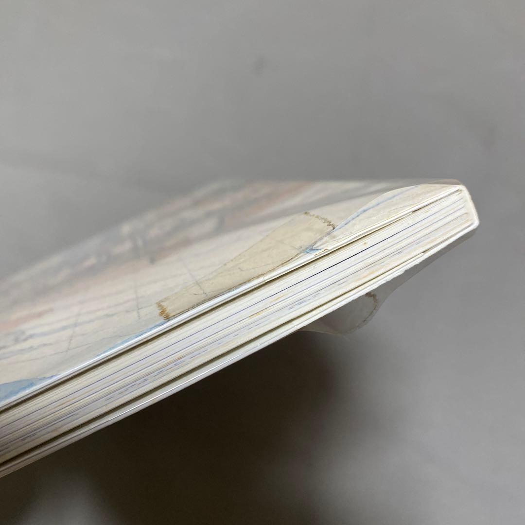 山口晃:Singa-planet