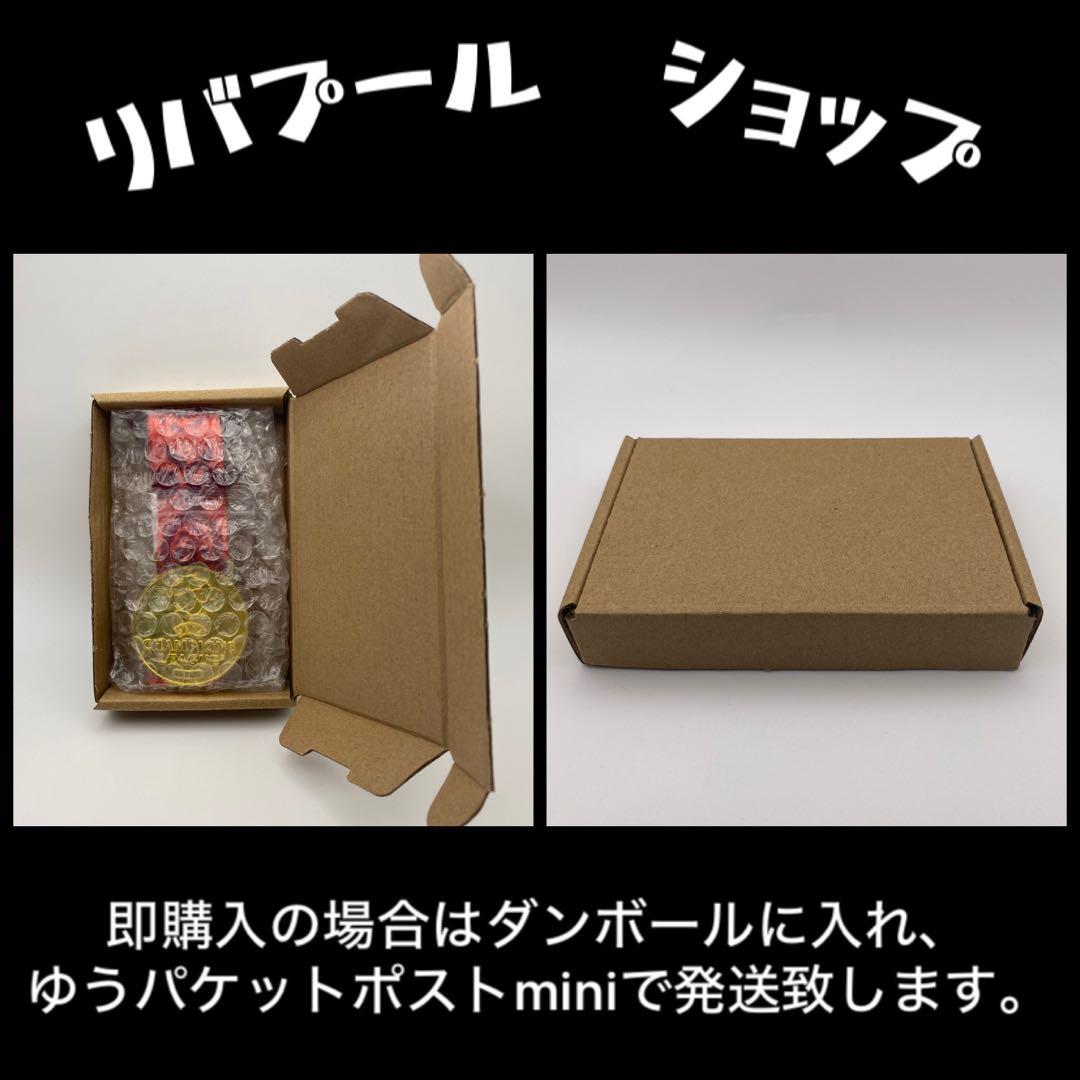 2025 クラブ ワールドカップ 決勝 優勝記念 メダル レプリカ チェルシー