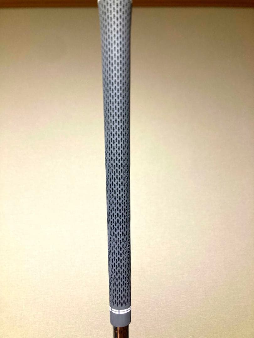 Dynamic Gold EX ツアーイシュー　シャフト 6本セット