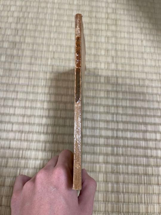 【激レア】足立正・小松原眞琴 共著「山陰古代史」